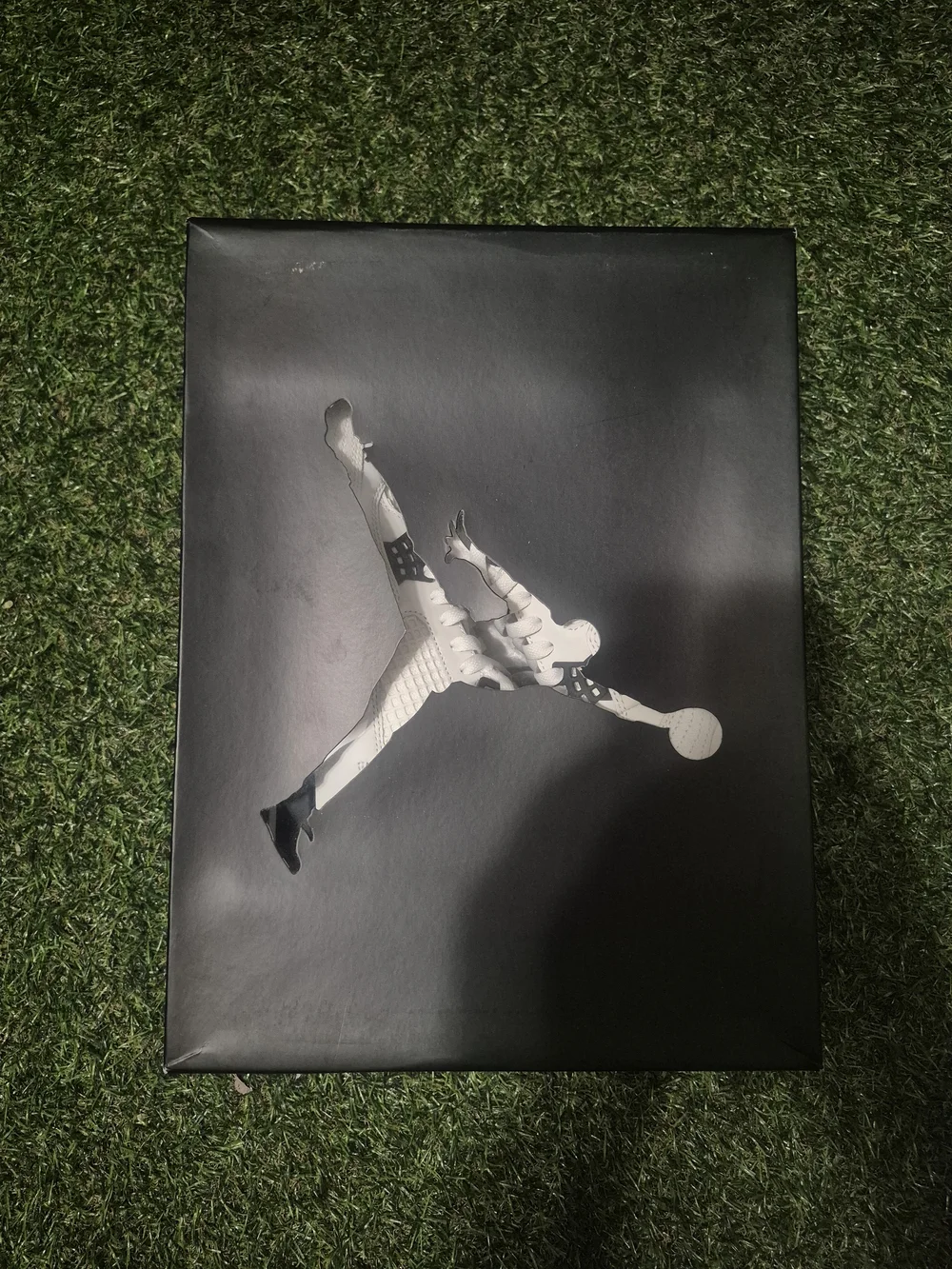 Nike Air Jordan 4 (Flightclub)
